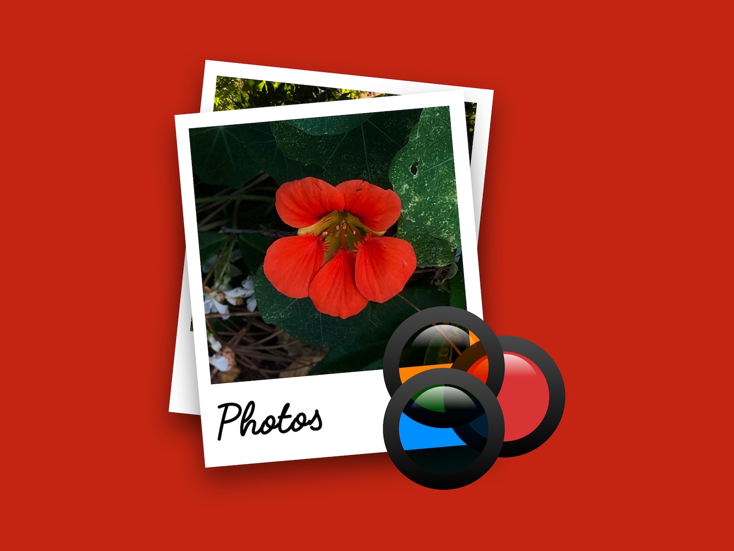 Photos Icon: A sheaf of Instant Photos
